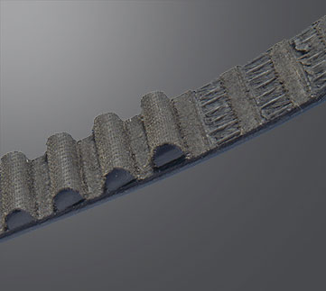 Timing belt with tooth shear